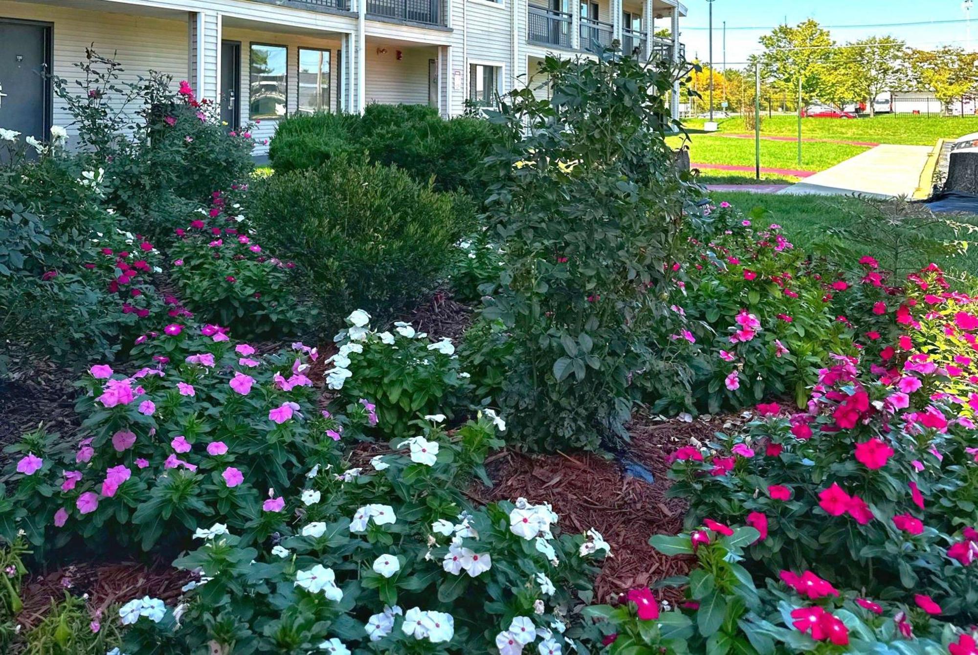Hotel Baymont And By Wyndham / Near Osu